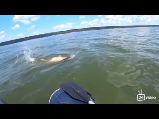 fucked a sexy chick in a boat porn 18