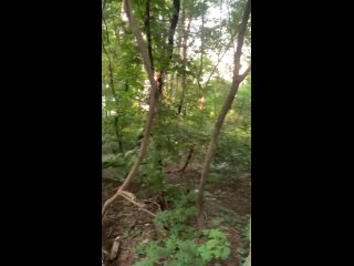 fucked in nature with a stranger